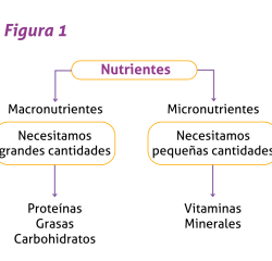 Blog 2 Figura 1