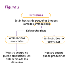 Blog 2 Figura 2