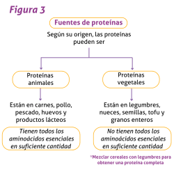 Blog 2 Figura 3