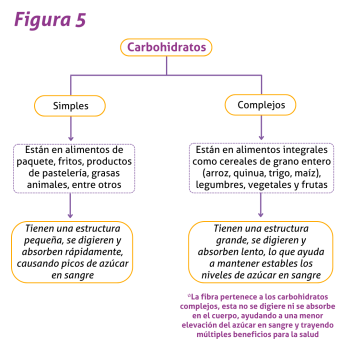 Blog 2 Figura 5