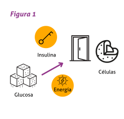 Figura 1 BLOG PROWHEY DM